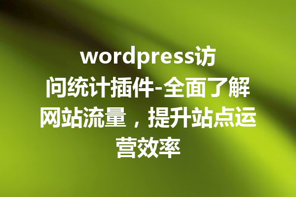 wordpress访问统计插件-全面了解网站流量，提升站点运营效率