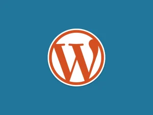 wordpress插件必备-提升你网站功能的强大工具