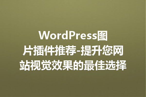 WordPress图片插件推荐-提升您网站视觉效果的最佳选择