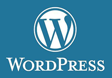5个必备WordPress插件,提升网站效率