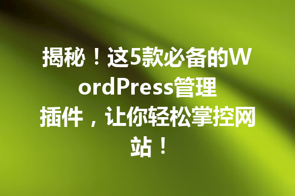 揭秘！这5款必备的WordPress管理插件，让你轻松掌控网站！