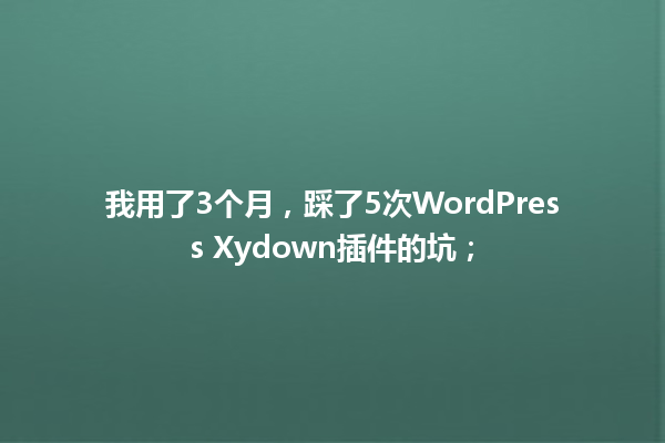 我用了3个月,踩了5次WordPress Xydown插件的坑; 一