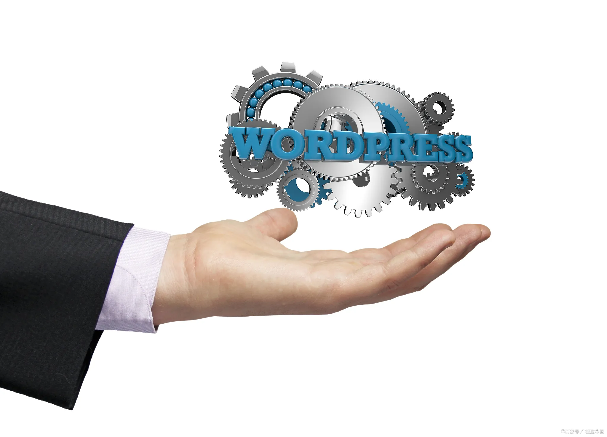 WordPress Job 插件被点名！功能强大助企业招聘不再愁 二