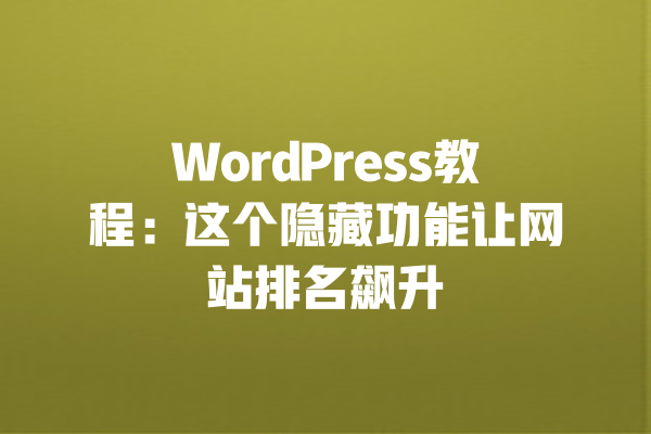 
WordPress教程：这个隐藏功能让网站排名飙升 一