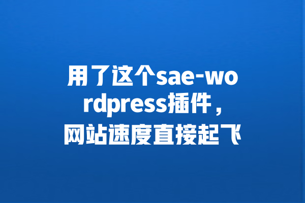用了这个sae-wordpress插件,网站速度直接起飞 一