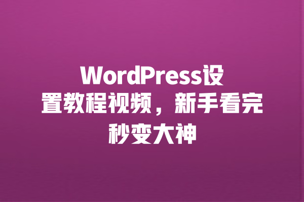 WordPress设置教程视频,新手看完秒变大神 一