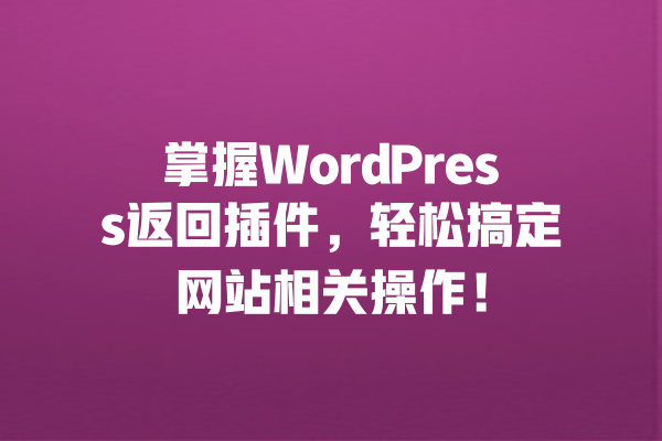 掌握WordPress返回插件,轻松搞定网站相关操作! 一