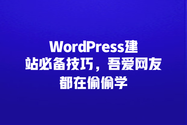 WordPress建站必备技巧，吾爱网友都在偷偷学 一
