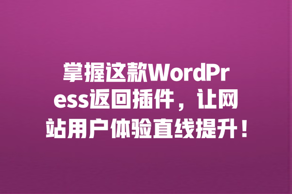 掌握这款WordPress返回插件,让网站用户体验直线提升! 一