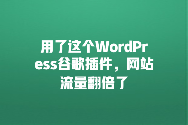 用了这个WordPress谷歌插件,网站流量翻倍了 一
