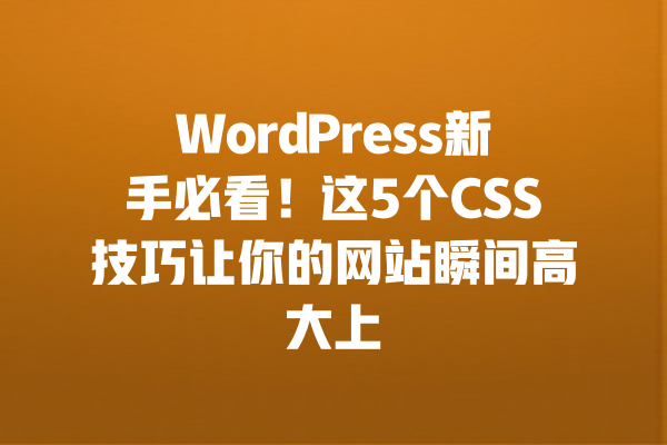 WordPress新手必看!这5个CSS技巧让你的网站瞬间高大上 一
