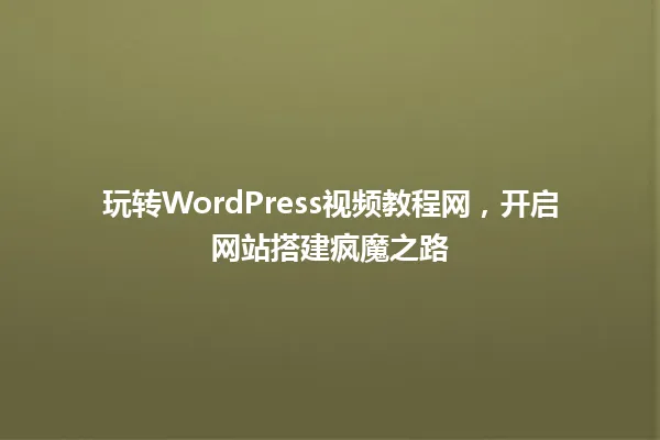 玩转WordPress视频教程网,开启网站搭建疯魔之路 一