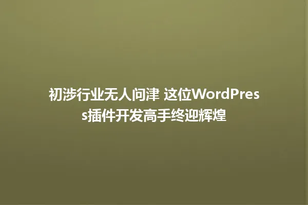 初涉行业无人问津 这位WordPress插件开发高手终迎辉煌 一