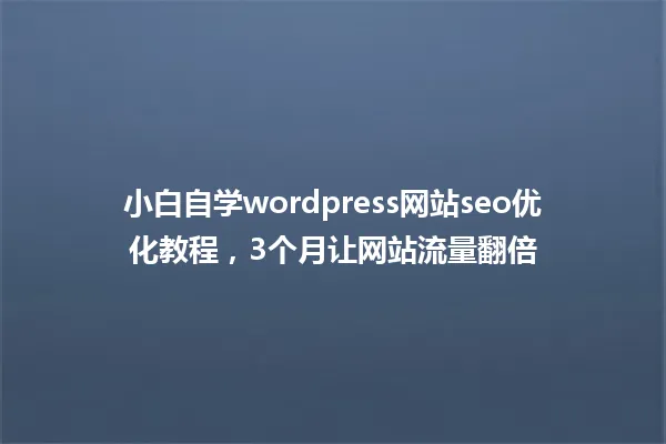 小白自学wordpress网站seo优化教程,3个月让网站流量翻倍 一