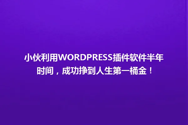 小伙利用WORDPRESS插件软件半年时间,成功挣到人生第一桶金! 一