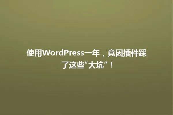 使用WordPress一年,竟因插件踩了这些“大坑”! 一