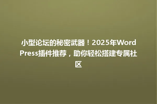 小型论坛的秘密武器!2025年WordPress插件推荐,助你轻松搭建专属社区 一