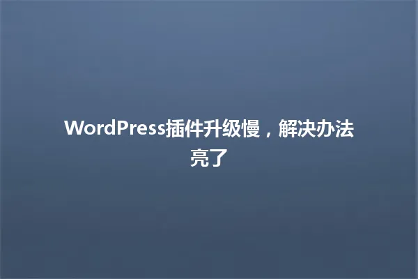 WordPress插件升级慢,解决办法亮了 一