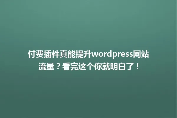 付费插件真能提升wordpress网站流量?看完这个你就明白了! 一