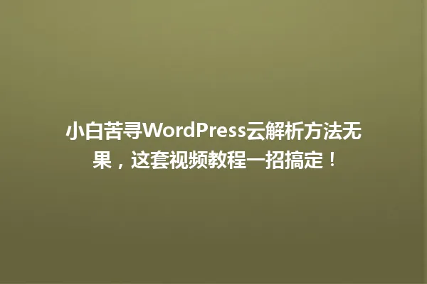 小白苦寻WordPress云解析方法无果,这套视频教程一招搞定! 一
