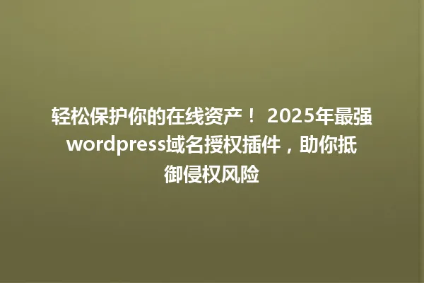 轻松保护你的在线资产! 2025年最强wordpress域名授权插件,助你抵御侵权风险 一