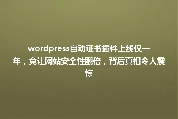 wordpress自动证书插件上线仅一年,竟让网站安全性翻倍,背后真相令人震惊 一