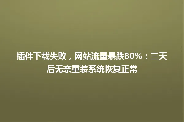 插件下载失败，网站流量暴跌80%：三天后无奈重装系统恢复正常 一