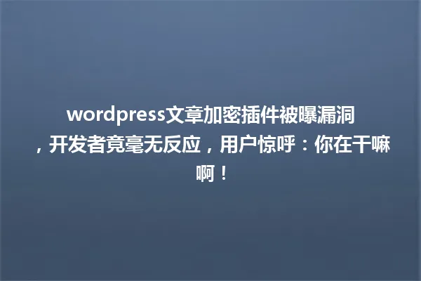 wordpress文章加密插件被曝漏洞,开发者竟毫无反应,用户惊呼:你在干嘛啊! 一