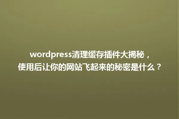 wordpress清理缓存插件大揭秘，使用后让你的网站飞起来的秘密是什么？ 一