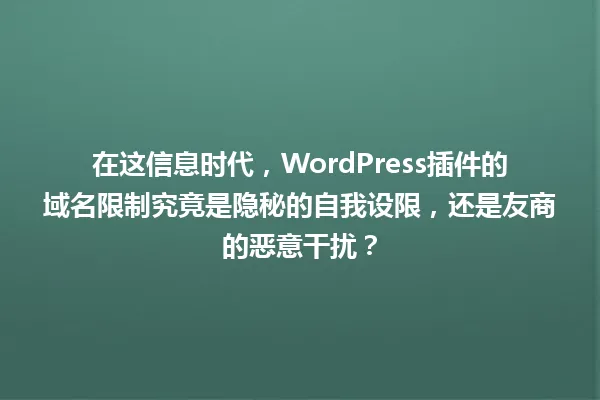 在这信息时代，WordPress插件的域名限制究竟是隐秘的自我设限，还是友商的恶意干扰？ 一
