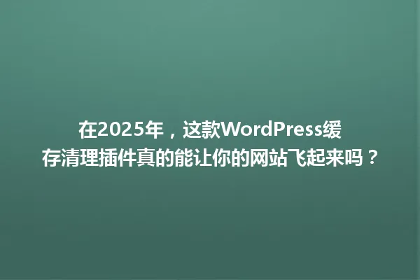 在2025年，这款WordPress缓存清理插件真的能让你的网站飞起来吗？ 一
