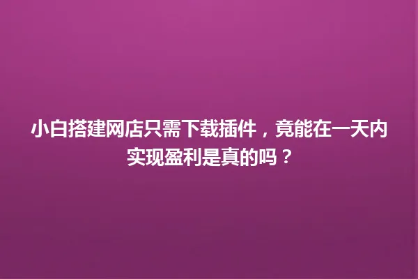 小白搭建网店只需下载插件，竟能在一天内实现盈利是真的吗？ 一