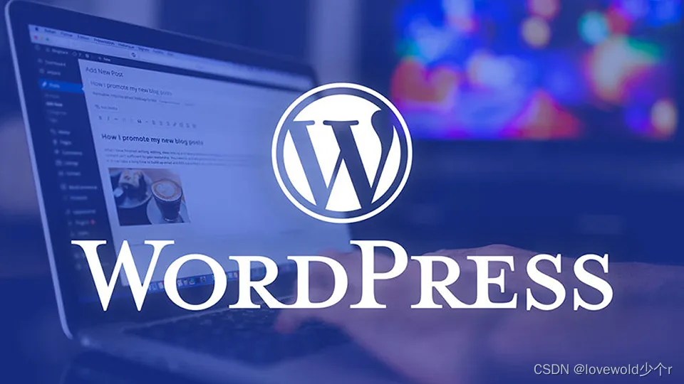 WordPress 中字体插件这么多,究竟哪个最适合你的网站需求? 三