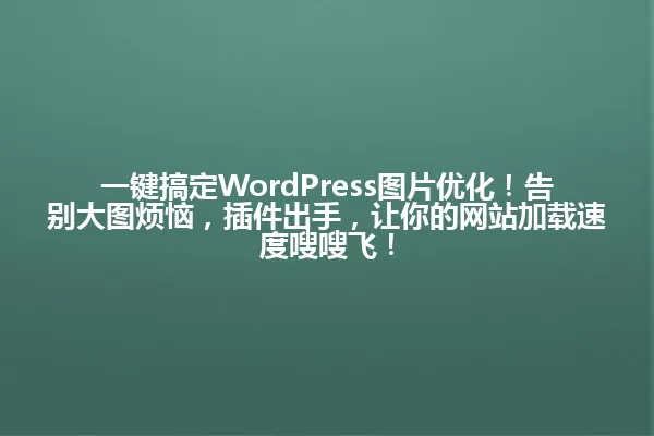 一键搞定WordPress图片优化!告别大图烦恼,插件出手,让你的网站加载速度嗖嗖飞! 一