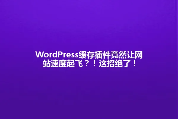 WordPress缓存插件竟然让网站速度起飞？！这招绝了！ 一