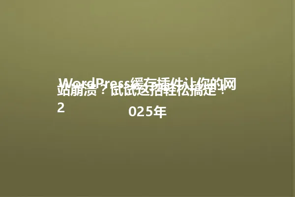 WordPress缓存插件让你的网站崩溃?试试这招轻松搞定!
2025年 一