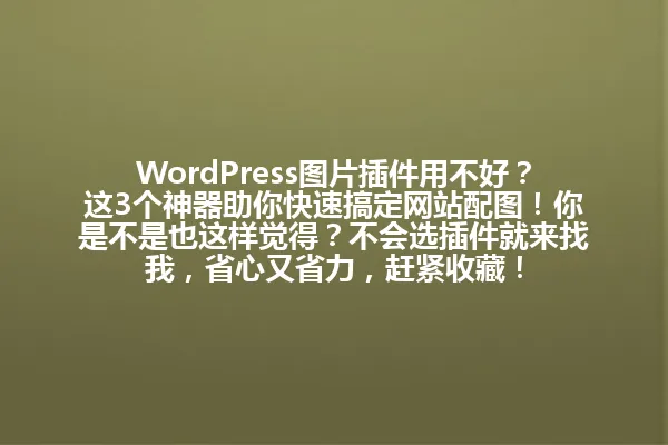 WordPress图片插件用不好?这3个神器助你快速搞定网站配图!你是不是也这样觉得?不会选插件就来找我,省心又省力,赶紧收藏! 一