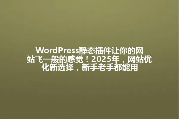 WordPress静态插件让你的网站飞一般的感觉！2025年，网站优化新选择，新手老手都能用 一