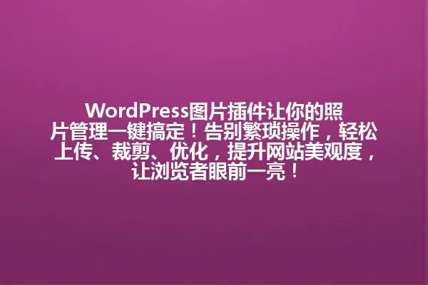 WordPress图片插件让你的照片管理一键搞定!告别繁琐操作,轻松上传、裁剪、优化,提升网站美观度,让浏览者眼前一亮! 一
