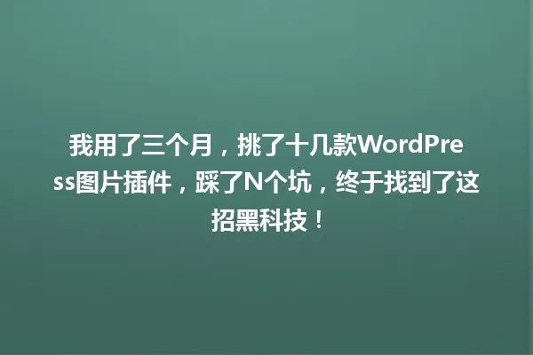 我用了三个月,挑了十几款WordPress图片插件,踩了N个坑,终于找到了这招黑科技! 一