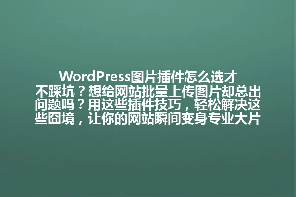 WordPress图片插件怎么选才不踩坑?想给网站批量上传图片却总出问题吗?用这些插件技巧,轻松解决这些囧境,让你的网站瞬间变身专业大片! 一