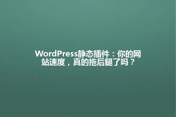 WordPress静态插件：你的网站速度，真的拖后腿了吗？ 一