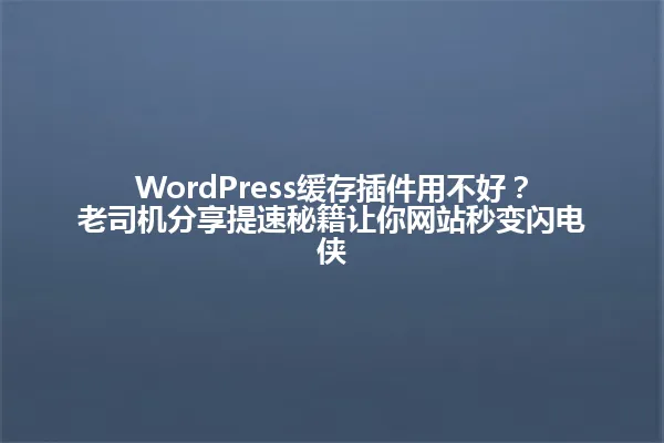 WordPress缓存插件用不好?老司机分享提速秘籍让你网站秒变闪电侠 一