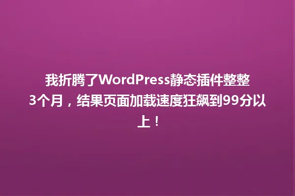 我折腾了WordPress静态插件整整3个月,结果页面加载速度狂飙到99分以上! 一