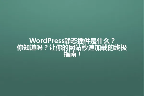 WordPress静态插件是什么?你知道吗?让你的网站秒速加载的终极指南! 一