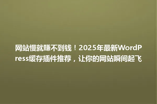 网站慢就赚不到钱!2025年最新WordPress缓存插件推荐,让你的网站瞬间起飞 一