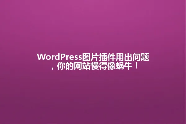 WordPress图片插件用出问题，你的网站慢得像蜗牛！ 一