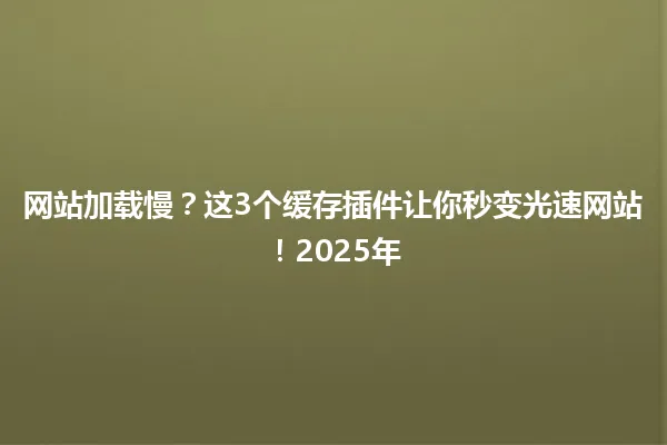 网站加载慢?这3个缓存插件让你秒变光速网站!2025年 一