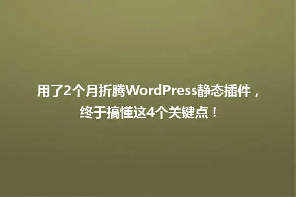 用了2个月折腾WordPress静态插件,终于搞懂这4个关键点! 一