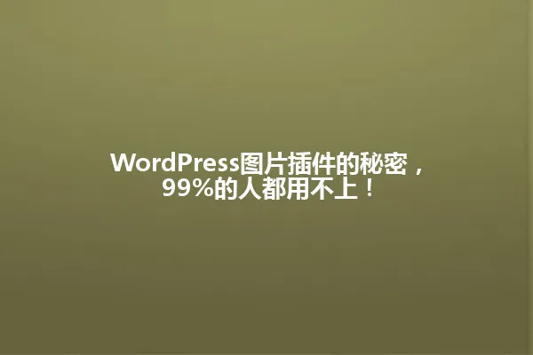 WordPress图片插件的秘密,99%的人都用不上! 一